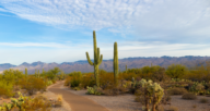 The desert near Phoenix Arizona, where homebuyers want to know the best time to buy a house.
